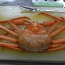 1杯丸ごと濃厚だし 紅ズワイ天醤鍋 レシピ 作り方 By Startrek 楽天レシピ 1杯丸ごと濃厚だし 紅ズワイ天醤鍋 レシピ 作り方 By Startrek 楽天レシピ